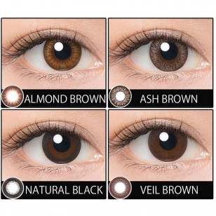 LUCIA 1Day Ash Brown LUCIA 1Day Ash Brown